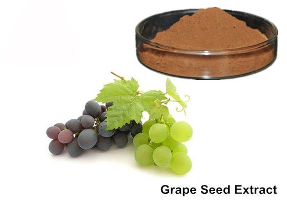 Pépin de raisin d'anthocyanines de 25%/poudre purs d'extrait peau de raisin fournisseur