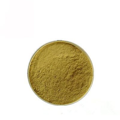 Poudre d'extrait d'anthocyanine de feuille de Sylvestre de gymnema pour pharmaceutique fournisseur