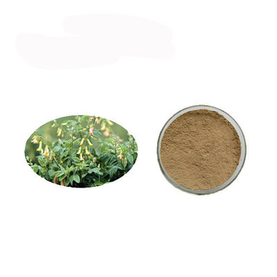 Anti poudre d'extrait d'astragale de polysaccharides de Cancer de grande pureté fournisseur