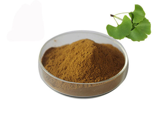 Poudre de Biloba de Ginkgo de tension artérielle d'Owering fournisseur