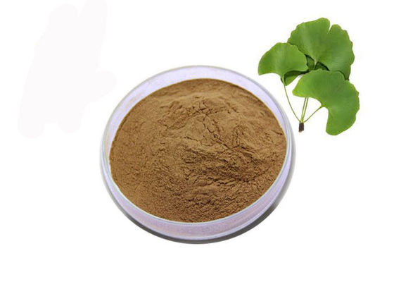 Poudre nutritionnelle d'extrait de feuille de Biloba de Ginkgo de Brown de catégorie comestible fournisseur