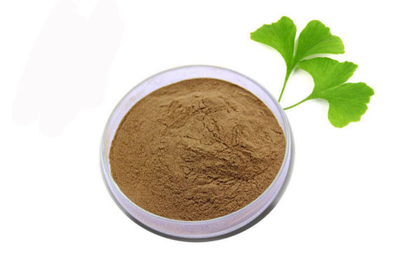 Poudre pure d'extrait de Ginkgo Biloba d'anti oxydant de catégorie médicale fournisseur