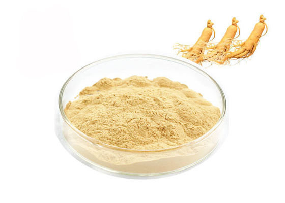 Poudre naturelle d'extrait de ginseng fournisseur