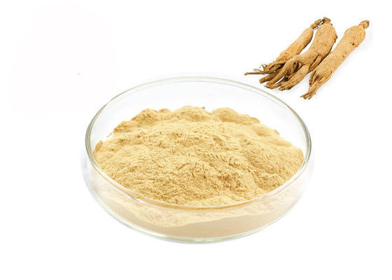 Soins de santé améliorant la poudre immunisée d'extrait de ginseng de racine fournisseur