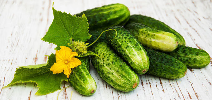 Extrait sativus de fruit de Cucumis soluble dans l'eau anti-vieillissement pour la peau 0