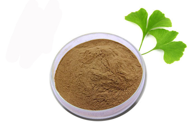 Poudre pure d'extrait de Ginkgo Biloba d'anti oxydant de catégorie médicale 0