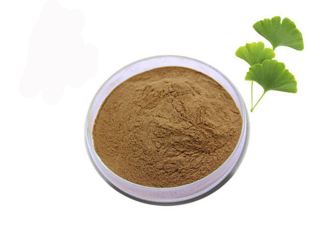 Réglez l'extrait normalisé par Biloba de Ginkgo de la graisse 24/6 de sang 1
