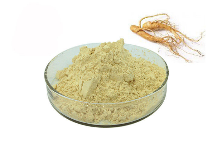 Poudre jaune-clair anti-vieillissement d'extrait de ginseng de 30% Ginsenosides 0