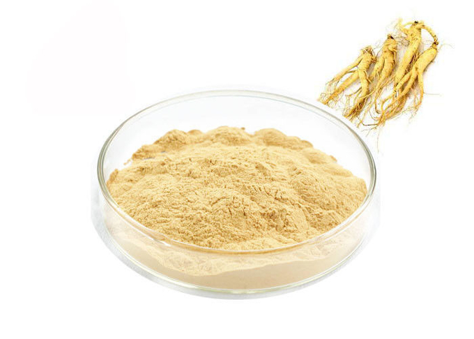 Poudre d'extrait de ginseng de Panaxoside de catégorie comestible pour des produits de santé 0