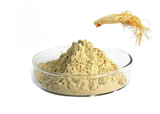Poudre de fines herbes pure de racine de ginseng de CAS 90045-38-8 80% Ginsenosides 0