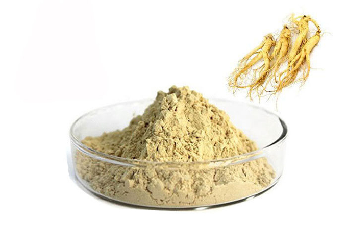 Poudre naturelle d'extrait de ginseng de racine pharmaceutique de 80% Panax 0
