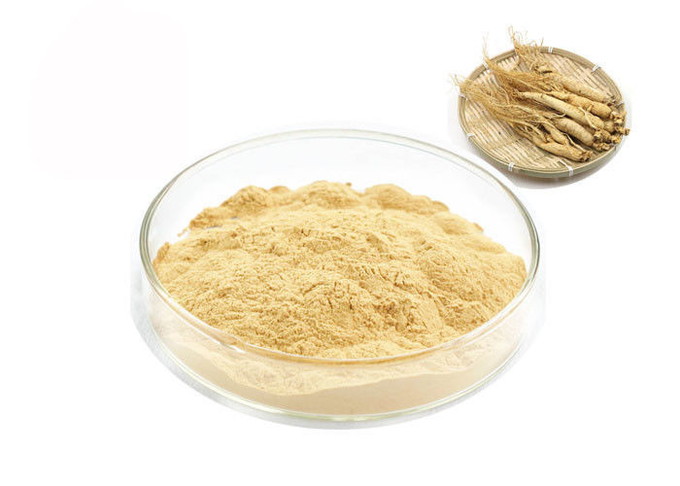 Extrait pur sibérien organique de ginseng de la racine 30% 80% Ginsenosides 0
